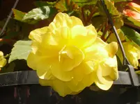 29.05.2010 008.webp