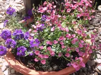29.05.2010 010.webp