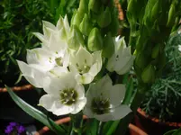 29.05.2010 014.webp