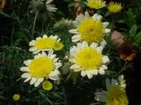 29.05.2010 015.webp