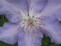022.webp