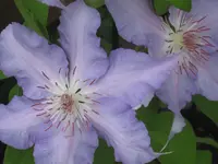 023.webp