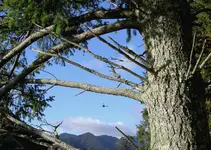 Mai 2010 717 av.webp