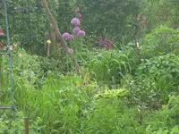 044.webp