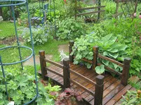040.webp