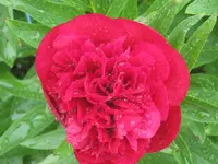 025.webp