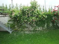 014.webp