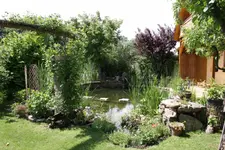 Teich (3).webp