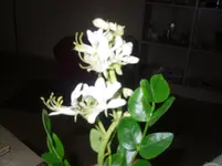 SDC10677.webp