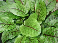 29.05.2010 007.webp