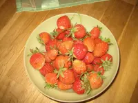 IMG_2739.webp