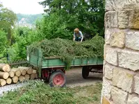 Ingi im Nadelhaufen.webp
