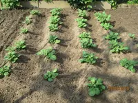 Bild 124.webp Bild 124.webp