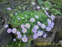 JD500137.webp