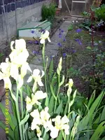 JD500139.webp