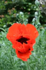 IMG_1958 - Kopie.webp