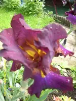 JD500160.webp
