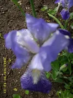 JD500161.webp