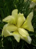 JD500162.webp