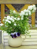 29.05 011.webp