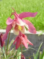 29.05 009.webp