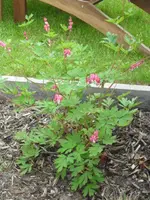 29.05 008.webp