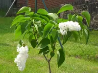29.05 006.webp