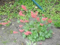 29.05 005.webp