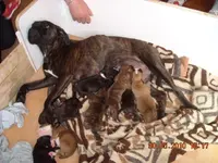30.05.2010 046.webp