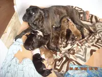 30.05.2010 044.webp