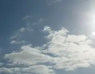 P1030569.webp