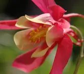 DSC_5313.webp