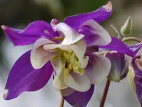 DSC_5318.webp
