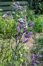 100524 1115 Garten.webp