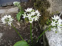 290521 001.webp