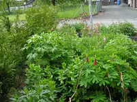 290521 009.webp