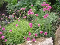 31.5.2010 002.webp