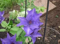31.5.2010 014.webp