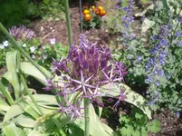 31.5.2010 028.webp