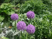 31.5.2010 029.webp