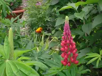 31.5.2010 037.webp