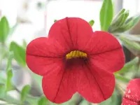 IMG_2636.webp