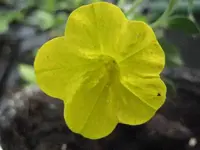 25281.webp