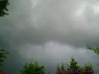 PIC00159.webp