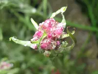 IMG_5509_1024x768.webp