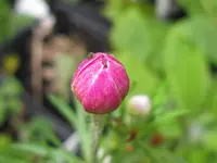IMG_5493_1024x768.webp