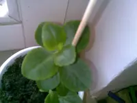 29052010(001).webp