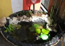 Teich_groß (2).webp