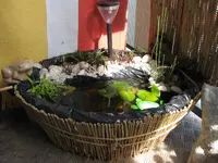 Teich_groß.webp