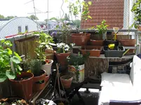 Sonnenecke (4).webp